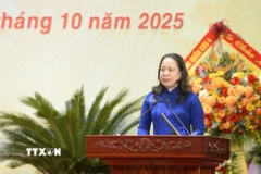 Phó Chủ tịch nước, Phó Chủ tịch thứ nhất Hội đồng Thi đua-Khen thưởng Trung ương Võ Thị Ánh Xuân phát biểu chỉ đạo Đại hội. (Ảnh: Việt Hoàng/TTXVN)