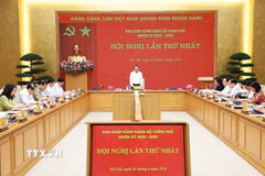 Bí thư Đảng ủy, Thủ tướng Chính phủ Lê Minh Hưng chủ trì Hội nghị lần thứ nhất Ban chấp hành Đảng bộ Chính phủ. (Ảnh: Dương Giang/TTXVN)