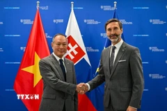 Đại sứ Việt Nam tại Slovakia Phạm Trường Giang và Bộ trưởng Ngoại giao Slovakia Juraj Blanár. (Ảnh: TTXVN phát)