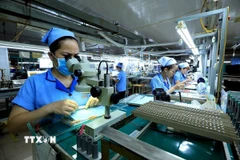 Đồng Nai đã giải ngân gần 1,4 tỷ USD vốn FDI trong 10 tháng năm 2025. (Ảnh: Tuấn Anh/TTXVN)