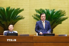 Phó Chủ tịch Quốc hội Lê Minh Hoan phát biểu. (Ảnh: Doãn Tấn/TTXVN)