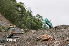 Ảnh minh họa. (Ảnh: Cao Nguyên/TTXVN)