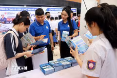Học sinh, sinh viên tìm hiểu cơ hội việc làm tại các doanh nghiệp. (Ảnh: Mạnh Tú/TTXVN)