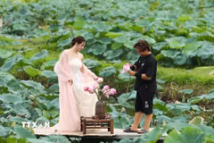 Các nhiếp ảnh gia, bạn trẻ tranh thủ lưu lại những hình ảnh bên hoa sen độ rực rỡ nhất. (Ảnh: Tiến Long/TTXVN phát)