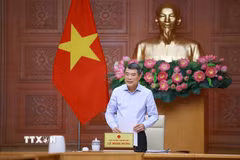 Thủ tướng Lê Minh Hưng làm việc với lãnh đạo Bộ Giáo dục và Đào tạo. (Ảnh: Dương Giang/TTXVN)