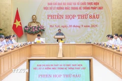 Phiên họp lần thứ sáu của Ban Chỉ đạo về rà soát và tổ chức thực hiện việc xử lý vướng mắc trong hệ thống pháp luật. (Ảnh: Dương Giang/TTXVN)