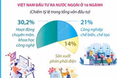 Năm 2024: Đầu tư của Việt Nam ra nước ngoài tăng 57,7%