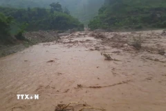 Mưa lớn khiến nước dâng tràn đường tại Km1+520, Tỉnh lộ 140 qua Điện Biên. (Ảnh: TTXVN phát)