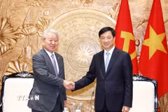 Trưởng Ban Tổ chức Trung ương Nguyễn Duy Ngọc tiếp Chủ tịch Cơ quan Hợp tác Quốc tế Nhật Bản (JICA) Tanaka Akihiko. (Ảnh: Phương Hoa/TTXVN)