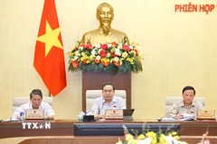 Chủ tịch Quốc hội Trần Thanh Mẫn phát biểu. (Ảnh: Doãn Tấn/TTXVN)