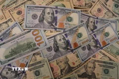 Đồng USD. (Ảnh: THX/TTXVN)