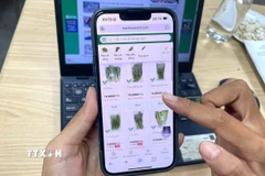 Các hệ thống bán lẻ tăng nhận diện logo tích xanh trách nhiệm trên hệ thống offline và online. (Ảnh: Hương Giang/TTXVN)