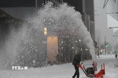 Người dân dọn tuyết trên đường phố tại New York, Mỹ. (Ảnh: THX/TTXVN)