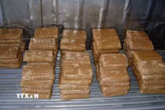 Tang vật trong một vụ bắt giữ cocaine tại Mexico. (Ảnh: AFP/TTXVN)