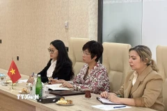 Tổng giám đốc TTXVN Vũ Việt Trang phát biểu tại cuộc hội đàm với Chủ tịch Azertac Vugar Alyev. (Ảnh: TTXVN)