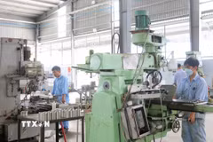 An Giang hỗ trợ các doanh nghiệp nhỏ và vừa đổi mới công nghệ, với mức tối đa bằng 50% giá trị hợp đồng tư vấn giải pháp chuyển đổi số cho doanh nghiệp. (Ảnh: Công Mạo/TTXVN)