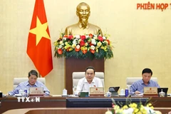 Chủ tịch Quốc hội Trần Thanh Mẫn phát biểu. (Ảnh: Doãn Tấn/TTXVN)