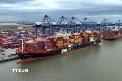 Hàng hóa xuất nhập khẩu từ cảng Việt Nam. (Ảnh minh họa: Vũ Sinh/TTXVN)