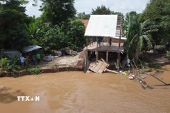 Khu vực sạt lở bờ sông Tiền tại ấp Tân Quới, xã Tân Long (tỉnh Đồng Tháp). (Ảnh: Nhựt An/TTXVN)