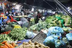 Tiểu thương chuẩn bị nguồn cung rau xanh phục vụ thị trường sau Tết Bính Ngọ, ở Chợ đầu mối Nam Hà Nội, thành phố Hà Nội. (Ảnh: Vũ Sinh/TTXVN)