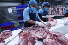 Phân loại sản phẩm thịt lợn. (Ảnh: Vũ Sinh/TTXVN)