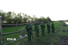Bộ đội Biên phòng Đồn Cửa khẩu Quốc tế Dinh Bà tổ chức tuần tra bảo vệ khu vực biên giới ở cột mốc 231, xã Tân Hộ Cơ, tỉnh Đồng Tháp. (Ảnh: Vũ Sinh/TTXVN)