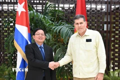 Phó Thủ tướng Hồ Quốc Dũng và Phó Thủ tướng Cuba Óscar Pérez-Oliva Fraga. (Ảnh: Việt Hùng/TTXVN)