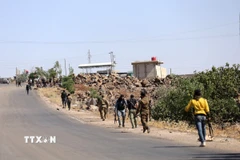 Các tay súng bộ tộc Bedouin tại thị trấn Wolgha, Sweida, Syria. (Ảnh: THX/TTXVN)