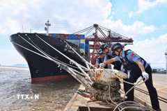 Kiểm tra dây neo của tàu thuyền trước khi bão Dolphin đổ bộ tại thành phố Ninh Ba, tỉnh Chiết Giang, miền Đông Trung Quốc. (Ảnh: THX/TTXVN phát)