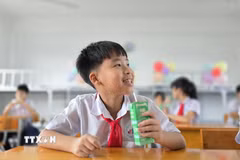 Học sinh trường Tiểu học, THCS, THPT Lê Thánh Tông hào hứng trong giờ uống sữa học đường. (Ảnh: Thanh Vân/TTXVN)