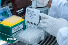 Áp dụng công nghệ giải trình tự gene thế hệ mới trong giám định ADN hài cốt liệt sỹ. (Ảnh: Hoàng Hiếu/TTXVN)