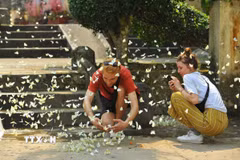 Vườn quốc gia Cúc Phương (Ninh Bình) được trao giải "Công viên quốc gia hàng đầu châu Á." (Ảnh: Minh Đức/TTXVN)