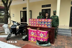 Đối tượng Lỷ Xuân Trường cùng tang vật và phương tiện bị lực lượng chức năng bắt giữ. (Ảnh: TTXVN phát)