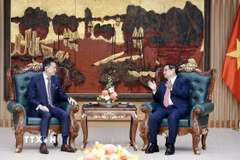 Thủ tướng Phạm Minh Chính tiếp ông Daren Tang, Tổng giám đốc Tổ chức Sở hữu trí tuệ thế giới (WIPO). (Ảnh: Dương Giang/TTXVN)