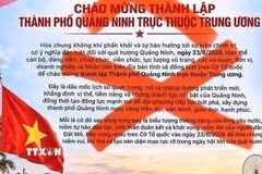 Quảng Ninh lên tiếng về thông tin toàn tỉnh đồng loạt treo cờ Tổ quốc ngày 23/8