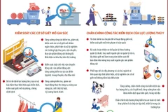Chấn chỉnh công tác kiểm soát giết mổ gia súc