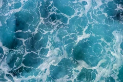 Ảnh minh họa. (Nguồn: Shutterstock)