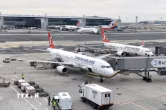 Các máy bay của hãng hàng không Turkish Airlines tại Sân bay Istanbul (Thổ Nhĩ Kỳ). (Ảnh: Ngọc Duy/TTXVN)