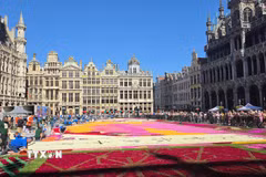 Những mảng màu rực rỡ của Thảm Hoa Brussels 2026 dần hiện ra trên Quảng trường lớn. (Ảnh: Lan Anh-Duy Tùng/TTXVN)
