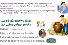 Ngày ASEAN phòng, chống sốt xuất huyết: 3 việc cần làm để phòng bệnh hiệu quả