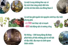 Phong Nha-Kẻ Bàng được vinh danh Khu Dự trữ sinh quyển thế giới