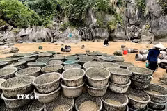 Tang vật tịch thu của các hộ nuôi trái phép trên Vịnh Hạ Long. (Ảnh: TTXVN phát)