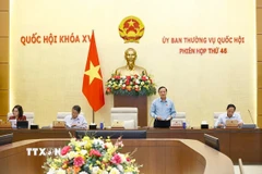 Phó Chủ tịch Quốc hội Nguyễn Khắc Định phát biểu. (Ảnh: Doãn Tấn/TTXVN)