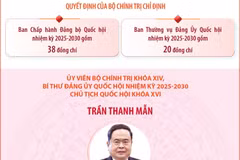 Đảng ủy Quốc hội nhiệm kỳ 2025-2030