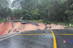 Lâm Đồng: Đường đèo Mimosa sụt xuống vực sâu