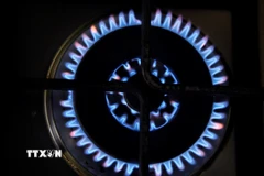 Ukraine đã mua 0,5 tỷ m3 LNG của Mỹ. (Ảnh: AFP/TTXVN)