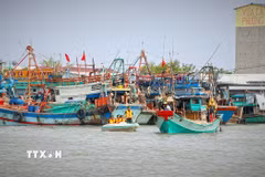 Lực lượng chức năng đến từng tàu thuyền tuyên truyền nhằm nâng cao nhận thức của cộng đồng ngư dân về gỡ thẻ vàng IUU. (Ảnh: Huỳnh Anh/TTXVN)