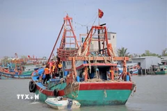 (Ản minh họa. Huỳnh Anh/TTXVN)