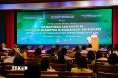 Quang cảnh Hội thảo. (Ảnh: Sỹ Thắng/TTXVN)