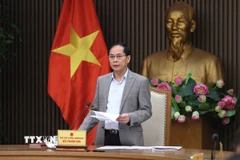 Phó Thủ tướng, Bộ trưởng Ngoại giao Bùi Thanh Sơn, Tổ trưởng Tổ công tác về tăng cường hợp tác, chủ động thích ứng với điều chỉnh chính sách kinh tế, thương mại của Hoa Kỳ phát biểu. (Ảnh: An Đăng/TTXVN)